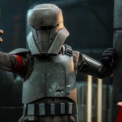 Star Wars: Transport Trooper Sixth Scale Figure by Hot Toys